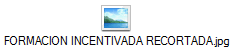 FORMACION INCENTIVADA RECORTADA.jpg