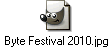 Byte Festival 2010.jpg