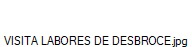 VISITA LABORES DE DESBROCE.jpg