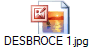 DESBROCE 1.jpg