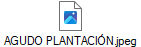 AGUDO PLANTACI�N.jpeg