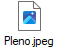 Pleno.jpeg