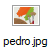 pedro.jpg