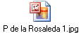 P de la Rosaleda 1.jpg