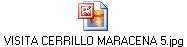 VISITA CERRILLO MARACENA 5.jpg