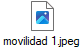 movilidad 1.jpeg