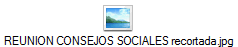 REUNION CONSEJOS SOCIALES recortada.jpg