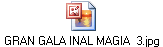 GRAN GALA INAL MAGIA  3.jpg