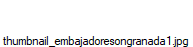 thumbnail_embajadoresongranada1.jpg