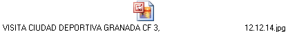 VISITA CIUDAD DEPORTIVA GRANADA CF 3,                                         12.12.14.jpg