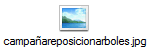 campa�areposicionarboles.jpg