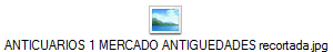 ANTICUARIOS 1 MERCADO ANTIGUEDADES recortada.jpg