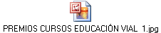 PREMIOS CURSOS EDUCACI�N VIAL  1.jpg