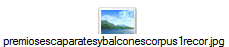 premiosescaparatesybalconescorpus1recor.jpg