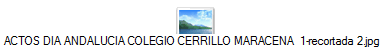 ACTOS DIA ANDALUCIA COLEGIO CERRILLO MARACENA  1-recortada 2.jpg