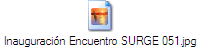 Inauguraci�n Encuentro SURGE 051.jpg