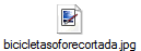 bicicletasoforecortada.jpg