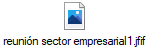 reuni�n sector empresarial1.jfif