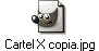 Cartel X copia.jpg