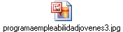 programaempleabilidadjovenes3.jpg