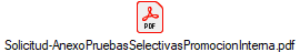 Solicitud-AnexoPruebasSelectivasPromocionInterna.pdf