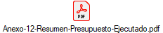 Anexo-12-Resumen-Presupuesto-Ejecutado.pdf