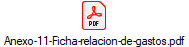 Anexo-11-Ficha-relacion-de-gastos.pdf