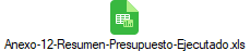Anexo-12-Resumen-Presupuesto-Ejecutado.xls