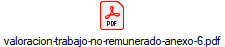valoracion-trabajo-no-remunerado-anexo-6.pdf