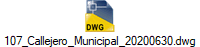 107_Callejero_Municipal_20200630.dwg