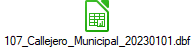 107_Callejero_Municipal_20230101.dbf