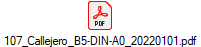 107_Callejero_B5-DIN-A0_20220101.pdf