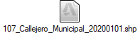 107_Callejero_Municipal_20200101.shp