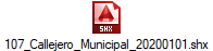 107_Callejero_Municipal_20200101.shx