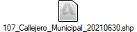 107_Callejero_Municipal_20210630.shp