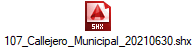 107_Callejero_Municipal_20210630.shx