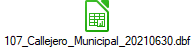 107_Callejero_Municipal_20210630.dbf