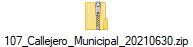 107_Callejero_Municipal_20210630.zip