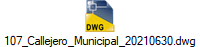 107_Callejero_Municipal_20210630.dwg