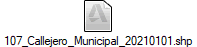 107_Callejero_Municipal_20210101.shp