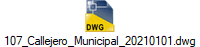 107_Callejero_Municipal_20210101.dwg