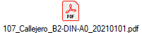 107_Callejero_B2-DIN-A0_20210101.pdf