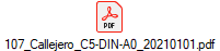 107_Callejero_C5-DIN-A0_20210101.pdf