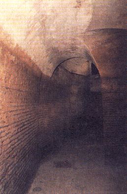 Aljibe de San Miguel Bajo