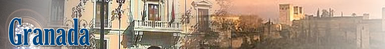 Web del Ayuntamiento de Granada
